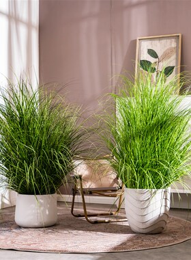 大型芦苇草仿真假花绿植蒲草室内造景装饰仿生植物假草丛草团摆件