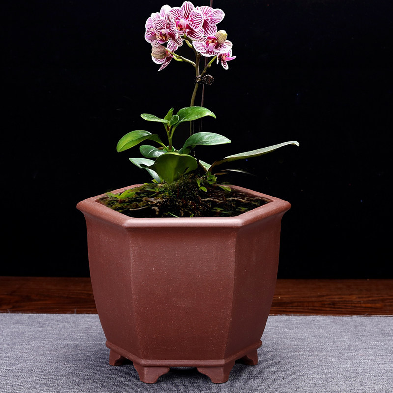紫砂花盆方形小四方六角老桩桌面绿植盆景中国风多肉菖蒲专用包邮
