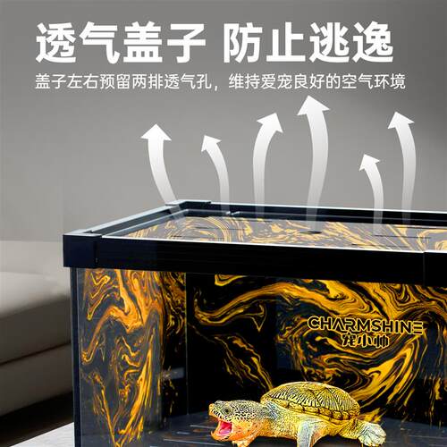 窄桥饲养缸育龟苗隔离盒蛋龟鳄龟发色盒底滤免换水家用乌龟饲养箱