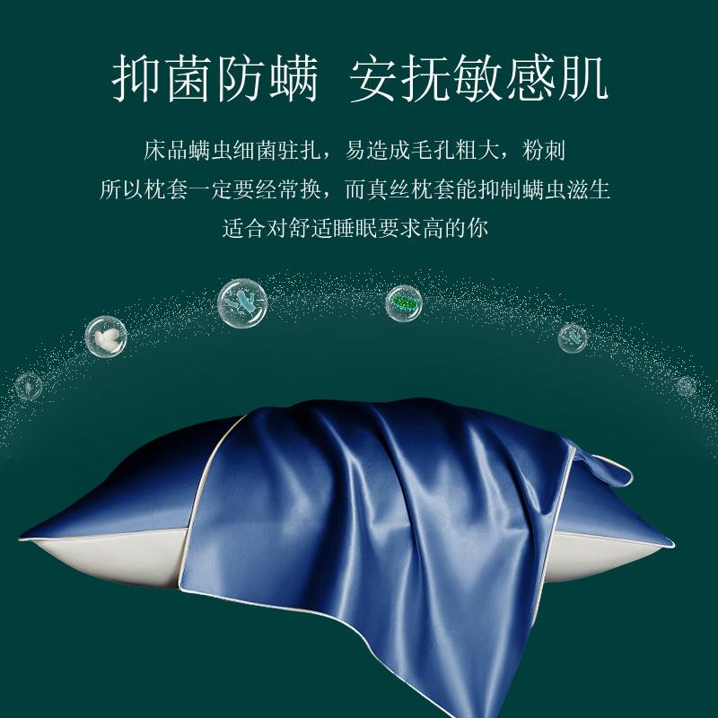 真丝枕套一对装桑蚕丝30姆米丝绸枕套枕巾夏季天丝枕头套48x74cm