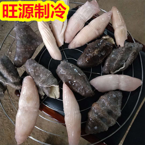 大型隧道海参速冻机 全自动海鲜冷冻生产加工流水线 氟利昂制冷