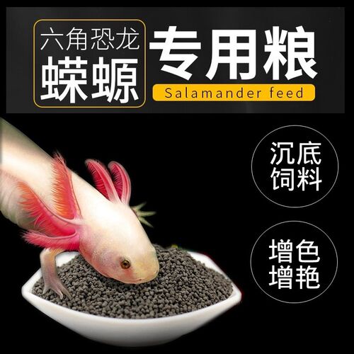 六角恐龙鱼饲料六角龙鱼娃娃鱼蝾螈专用下沉型饲料鱼食底栖鱼粮食