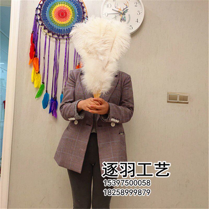 欧式白色扇骨肚皮舞表演舞蹈演出羽毛扇子 全绒大鸵鸟羽毛扇包邮
