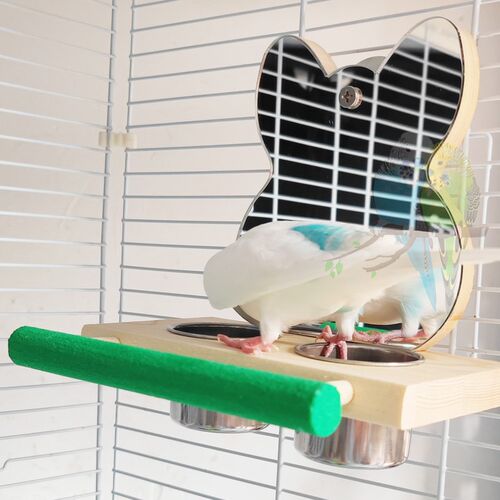 站杆镜子鹦鹉多颜色食杯盒饮水器磨爪玄凤牡丹虎皮鸟笼子用品玩具