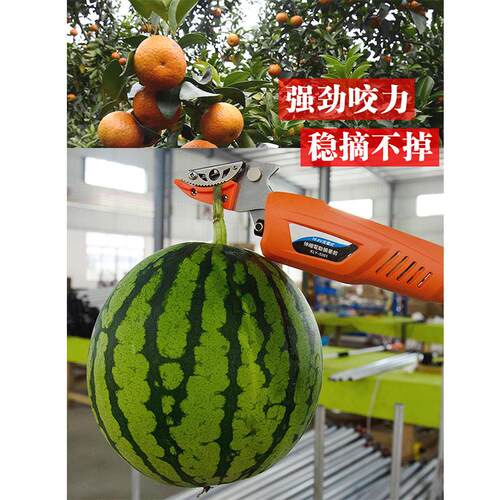 电动高枝剪果园伸缩高枝剪荔枝龙眼修枝剪刀高空加长充电式修枝剪