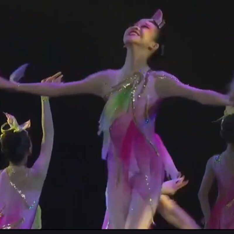 中国舞禾雀花开舞蹈服儿童体操演出连体服舞衣小舞者桃李杯群舞服