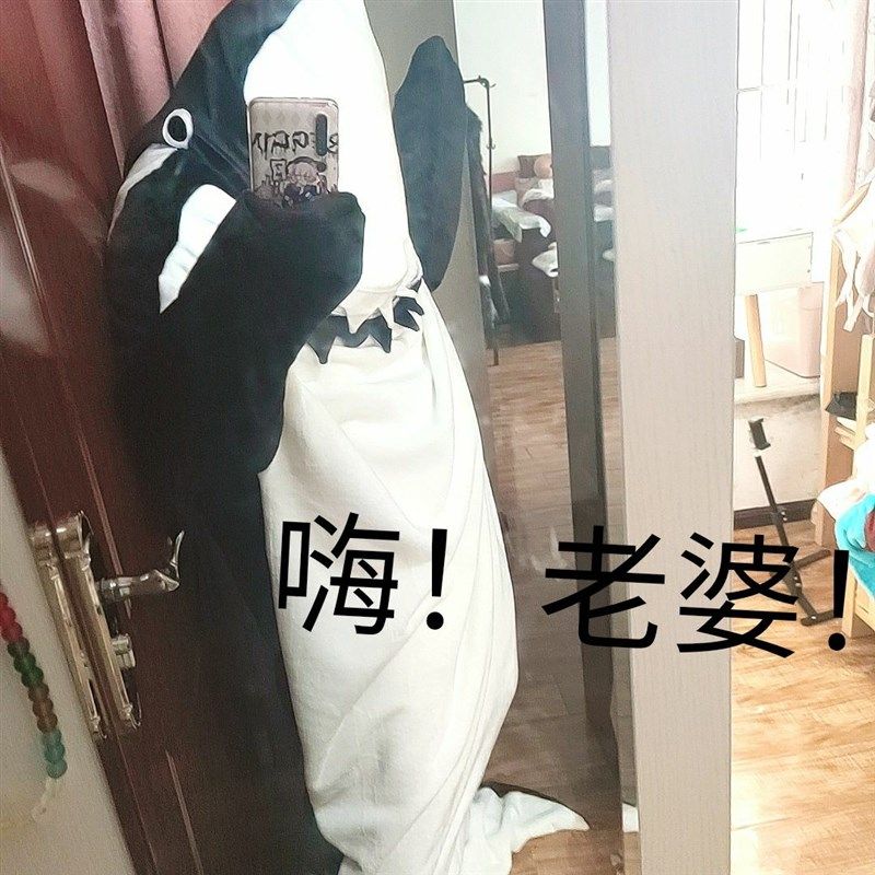 仲花家日式虎鲸鱼睡袋睡衣午睡毯子加厚保暖法兰绒送人创意礼物