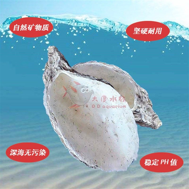 蚝壳滤材鱼池专用锦鲤池牡蛎壳生蚝壳鱼缸贝壳污水过滤材料海蛎壳