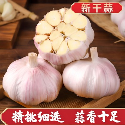 今年新干蒜农家紫白皮干蒜
