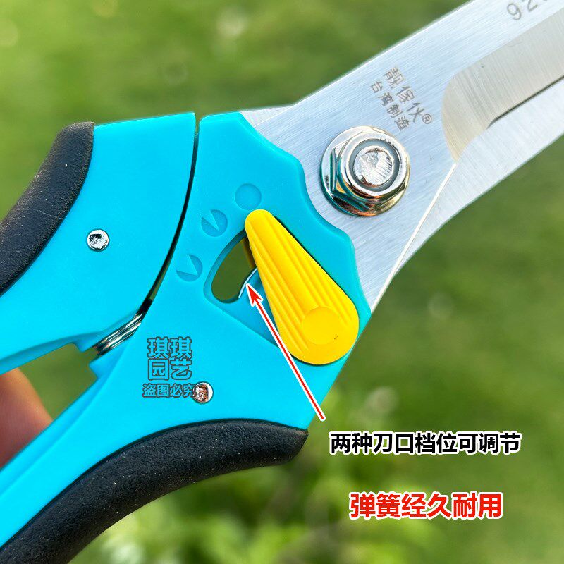 台湾进口靓家伙929修枝剪采摘剪果树剪鲜花剪省力剪园艺工具剪刀