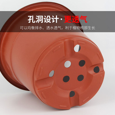 加厚双色育苗盆一次性简易花盆塑料大号多肉扦插盆营养钵育苗杯
