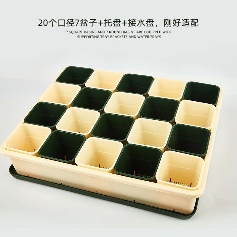 柏实多肉7cm方盆育苗筐托盘组合套装加厚耐用整理架整齐美观简约