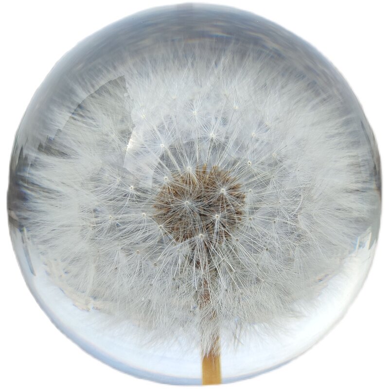 蒲公英小雏菊标本永生花树脂球水晶球摆件创意生日圣诞节情人礼物