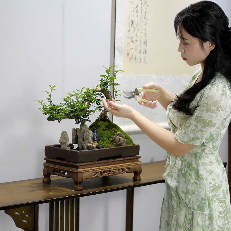 清香木山水假山盆景植物造型老桩室内客厅办公室绿植盆栽胡椒木