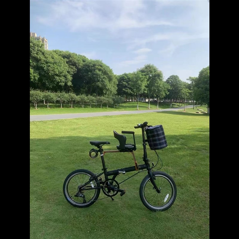 大行p8 p18 d6 d7 d10 birdy 折叠自行车通用儿童座椅