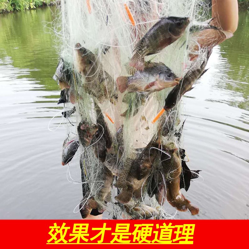 鱼网粘网三层沉网渔网沾网丝网捕鱼网鲫鱼网三合一粘鱼网1指100米