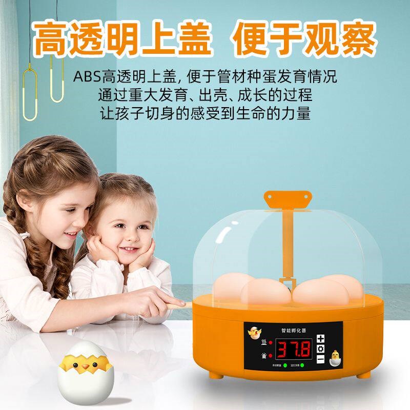 孵化器小型家用全自动智能鹦鹉孵蛋器小鸡款机器家用型鸡蛋种蛋