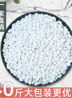 40斤白色石头大鹅卵石水洗石庭院铺地铺路花园盆栽鱼缸装饰白石子
