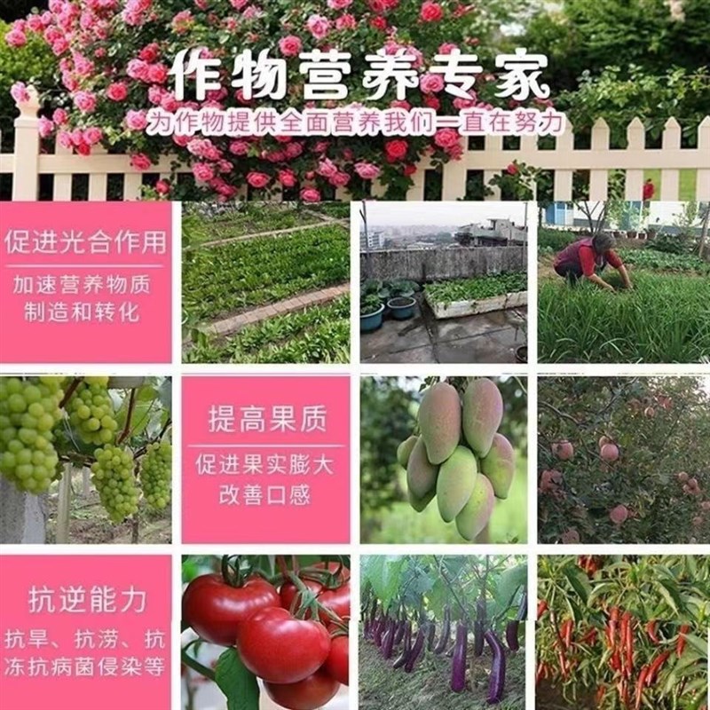 进口磷酸二氢钾正品速效全水溶保花保果农作物通用复合肥