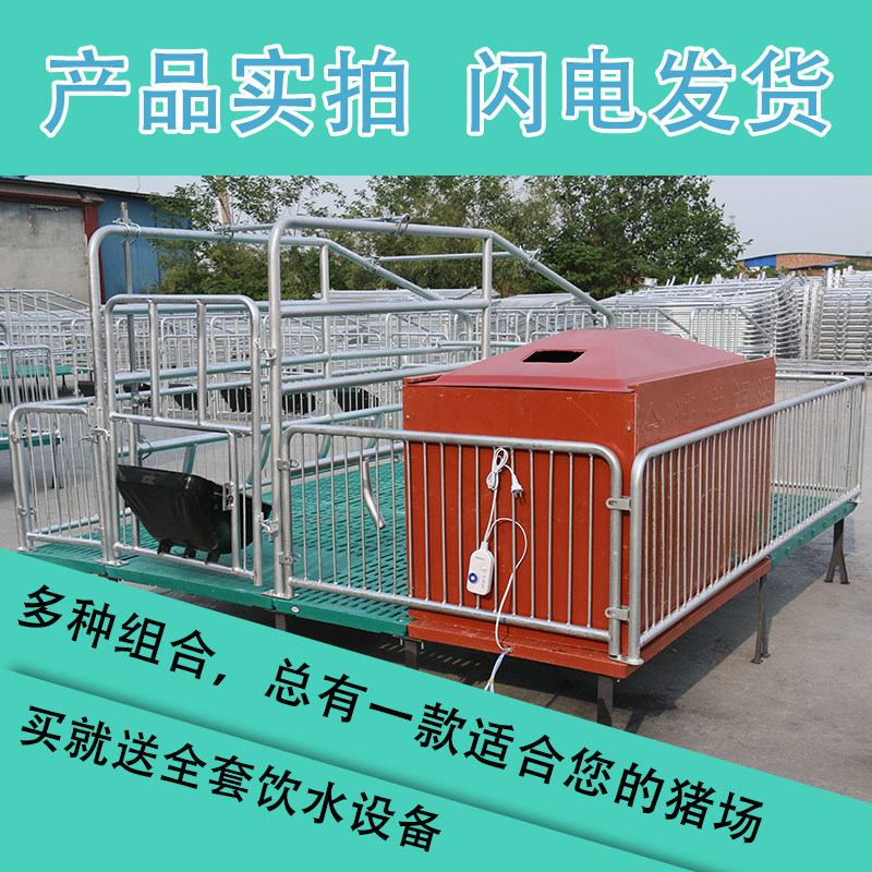 单体母猪产牀保育牀一体双体产保两用养殖设备产房猪用分娩定位栏