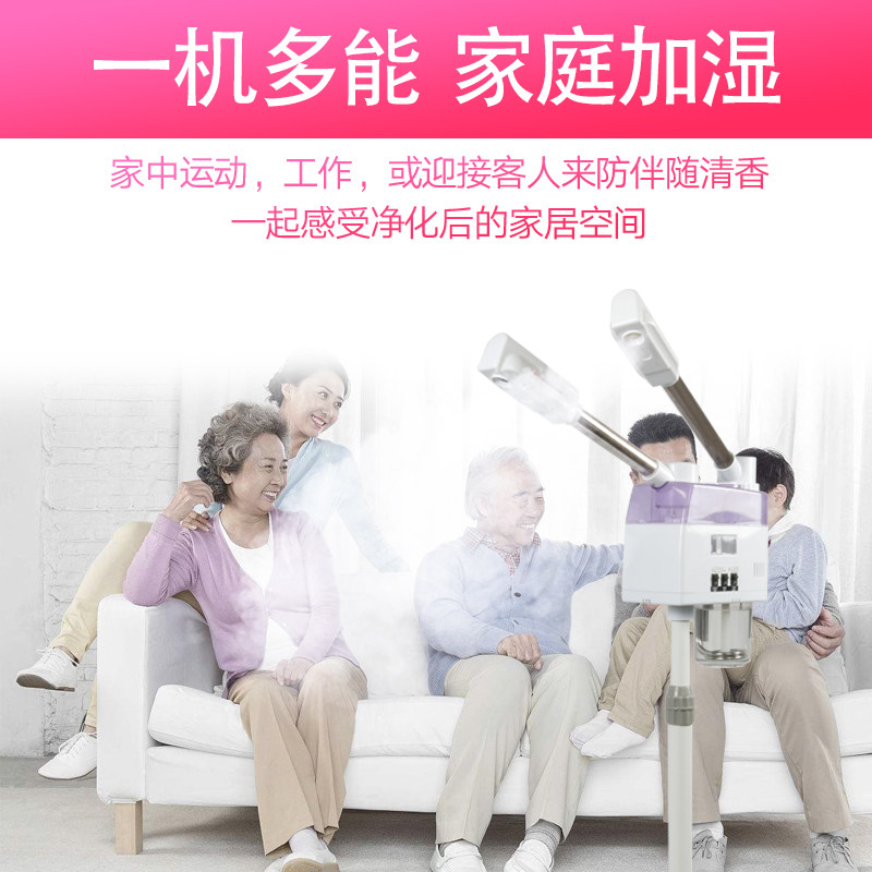 泰东冷热喷雾机美容仪美容院热喷蒸脸器冷热双喷脸部补水疗仪家用