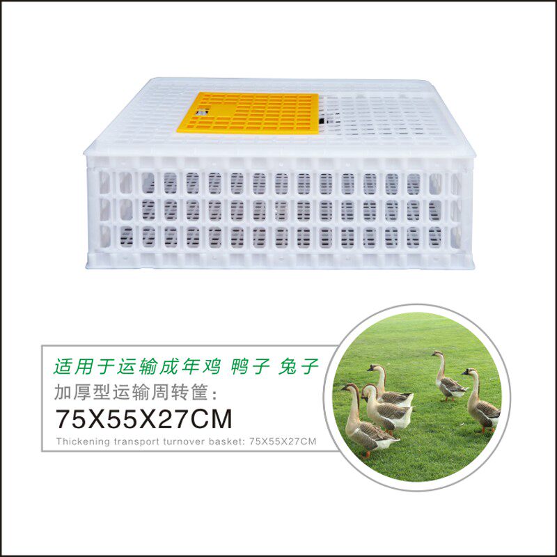 鸡笼周转箱鸭鹅运输筐塑料鸡笼子特大号活鸡周转箱成鸡框养鸡设备