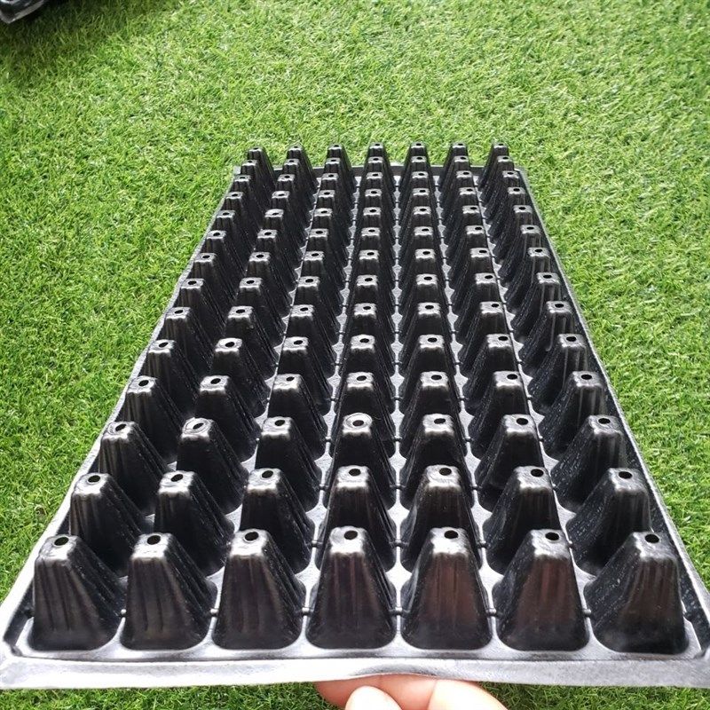 育苗穴盘98孔育苗盘蔬菜瓜果辣椒番茄扦插加厚材质韧性强耐折包邮