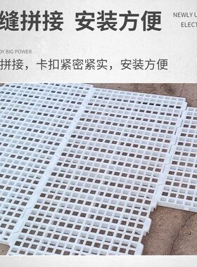 养鸡用漏粪板小鸡鸭鹅塑料漏粪网鸡舍地垫养殖鸡笼脚垫鸡粪漏屎板