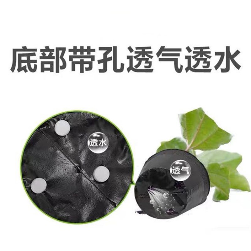 营养钵营养杯塑料育苗杯种植杯加厚大号一次性塑料杯荷花盆营养袋图片