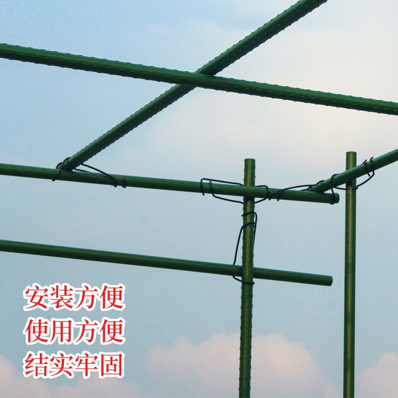 葡萄架爬藤种菜架花卉庭院支撑花架黄瓜架包塑钢管攀爬杆藤蔓植物