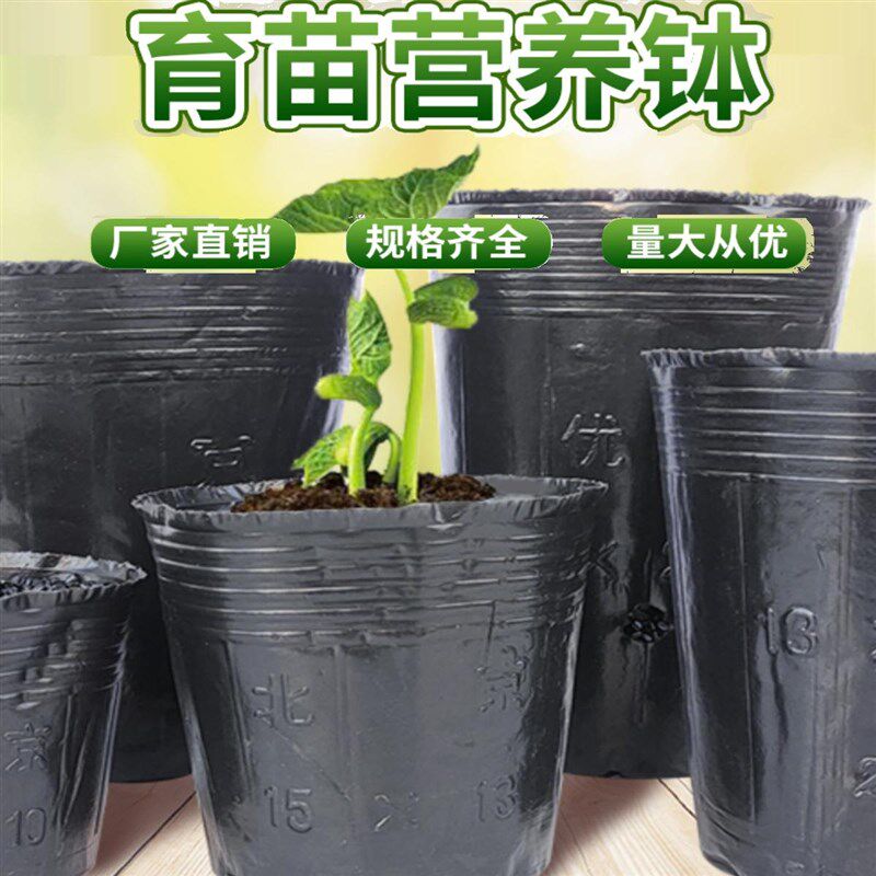 营养钵育苗盆树苗育苗碗细高育苗杯大号塑料加厚营养袋育苗袋塑料