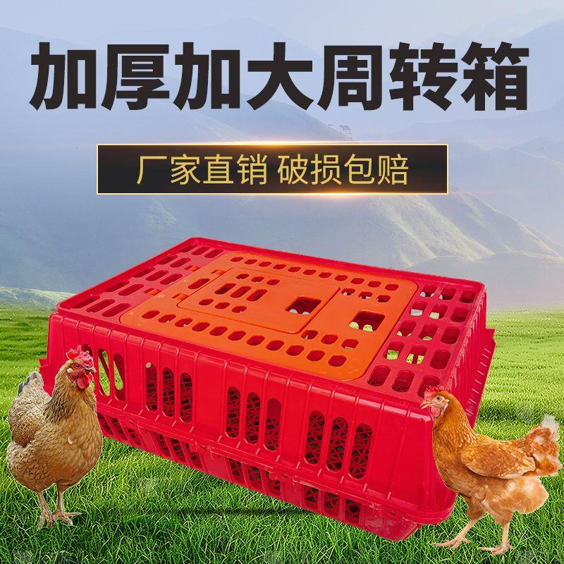 鸡笼周转箱鸡用运输筐成鸡鸭周转箱鸽兔用鸡运输笼塑料长方形加厚