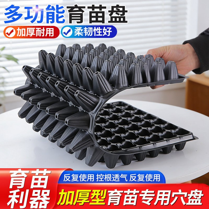 育苗盘穴盘育苗盒营养钵蔬菜育苗盆塑料杯育苗器苗木多肉托盘盆