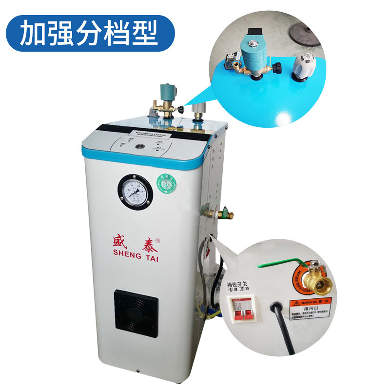 盛泰自动加水锅炉全蒸汽熨斗商用工业小型压力锅炉烫斗窗帘干洗店