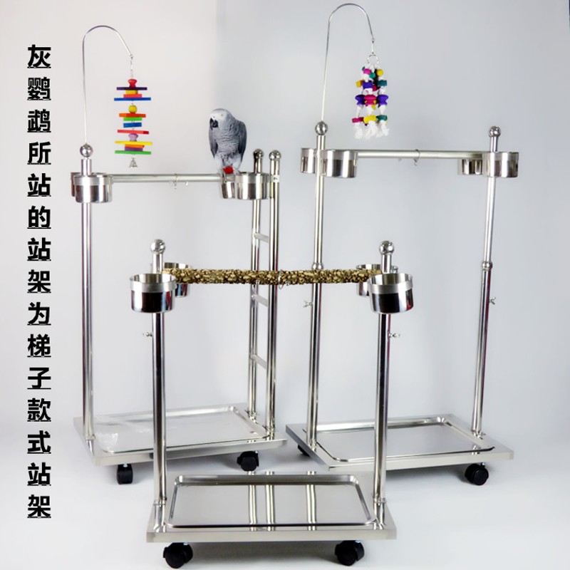 鹦鹉站架不锈钢升降架梯子架大型鸟架压力山大灰鹦鹉金刚葵花折衷