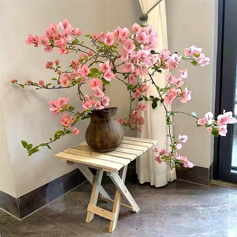 新品飘枝三角梅盆栽花卉阳台庭院爬藤植物垂丝花苗耐寒老桩四季开