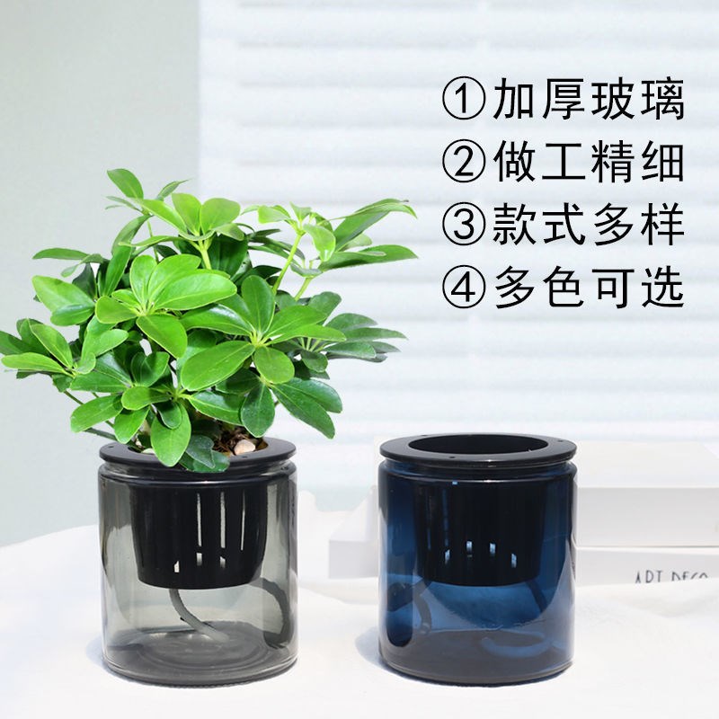 厂家直销懒人花盆自动吸水花盆创意水培玻璃花盆办公室桌面简约小