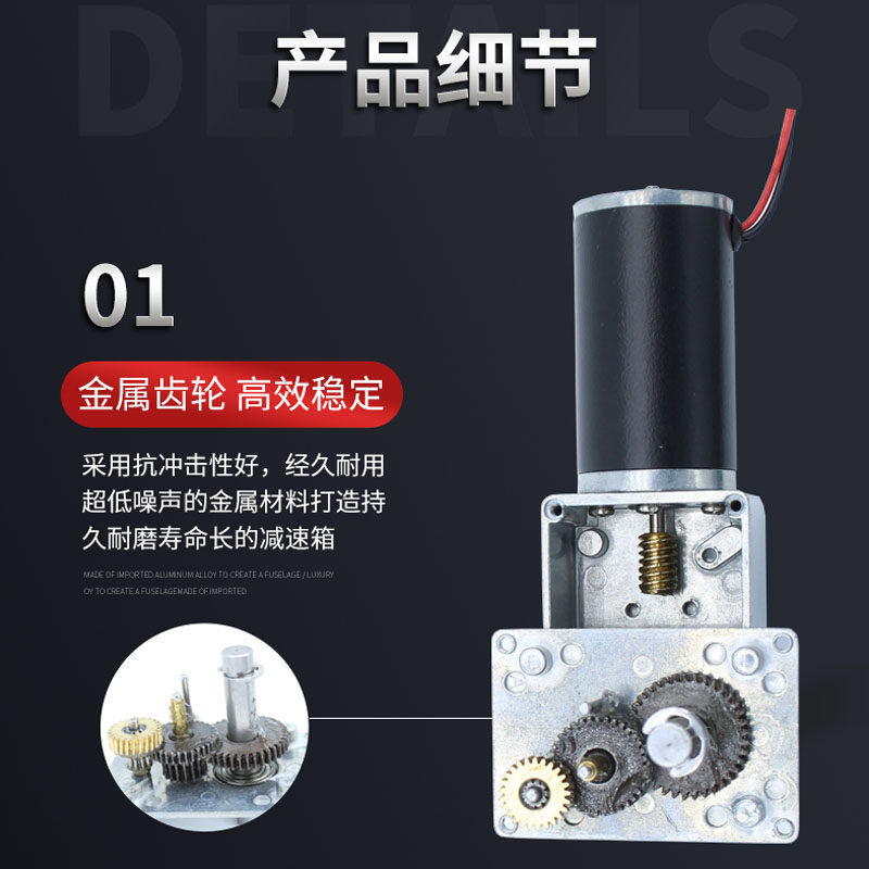 5840-31ZY涡轮蜗杆直流减速电机自动晾衣架电机12V24V双轴马达