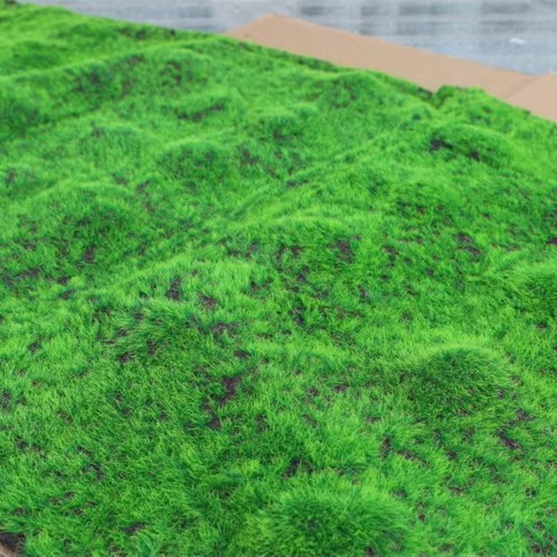 彷真绿色植物墙青苔草坪苔藓草坪盆景场景橱窗假苔藓森林系列软装