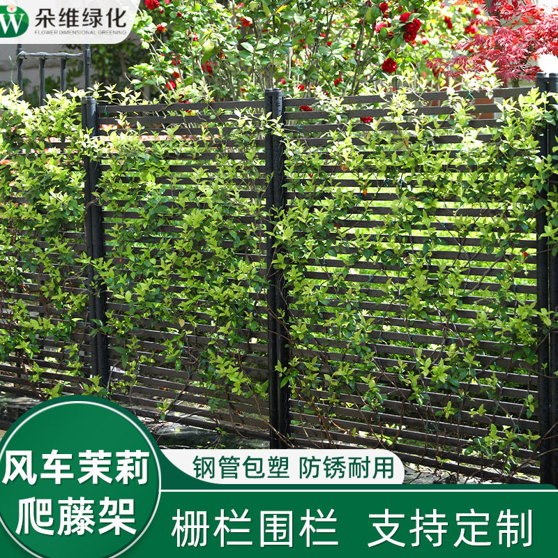 花架爬藤支架月季铁线莲围栏爬藤架花卉室外花栅栏庭院攀爬架架子