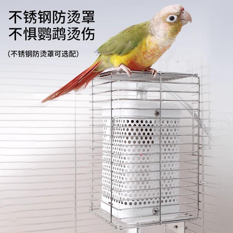 鹦鹉取暖灯宠物冬季恒温加热器兔芦丁鸡玄凤幼鸟笼通用防烫陶瓷灯