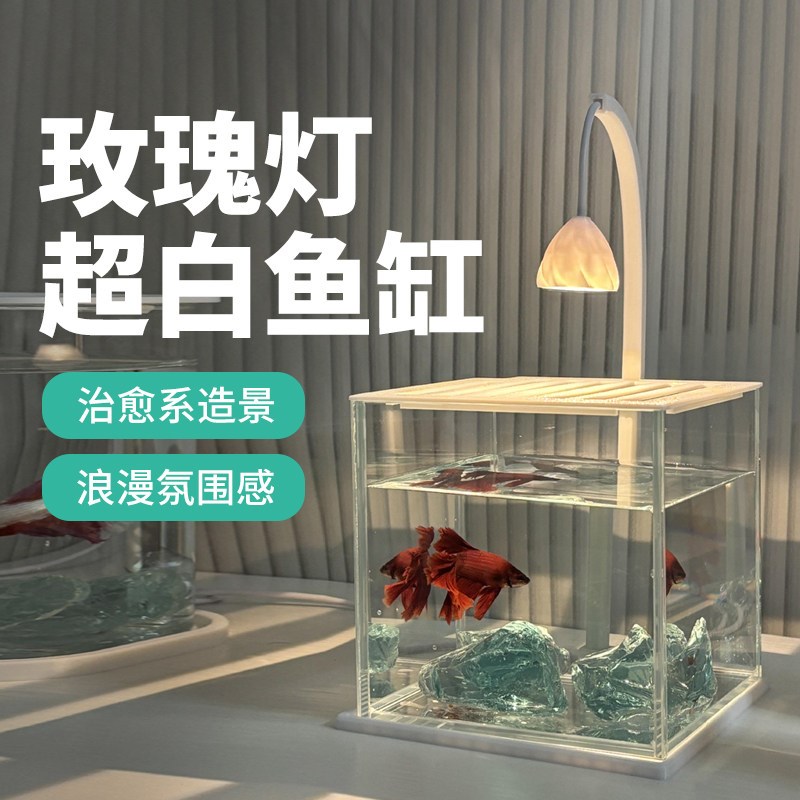 2025新款超白斗鱼缸客厅桌面缸观赏鱼网红缸办公室造景工位玻璃缸