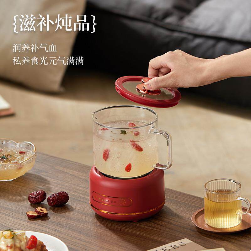 多功能养生壶办公室小型烧水壶煮茶器全玻璃花茶壶宿舍电炖杯礼品