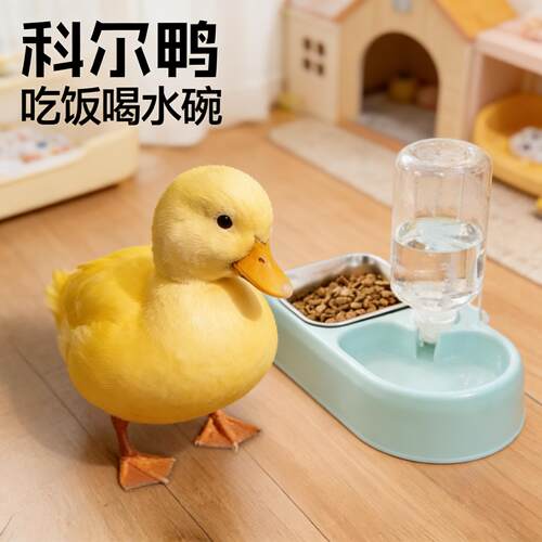 宠物用品鸭子喂食器小号悬挂笼子式宠物碗小鸡鸽子幼鸟食槽自动喂