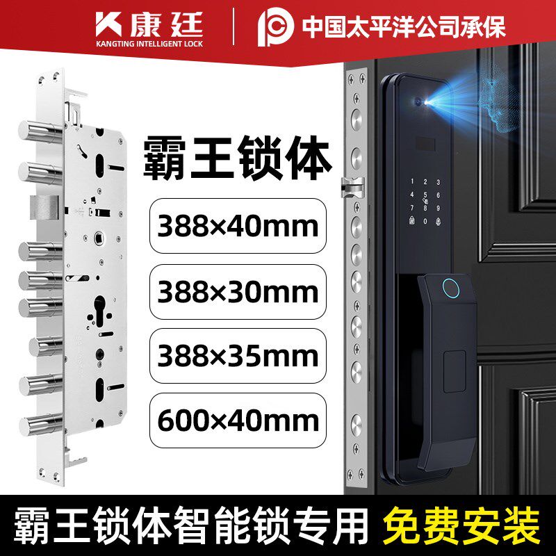 霸王锁体智能锁刷脸2025新款防盗门指纹锁密码锁家用门锁上门安装