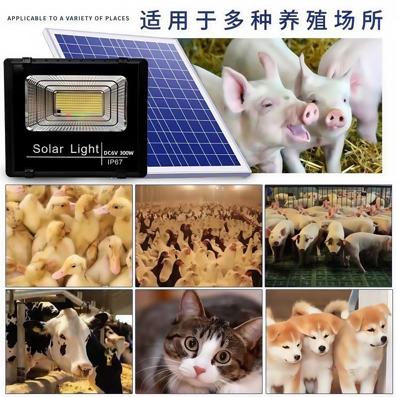 太阳能加温灯小鸡育雏保温灯养殖场专用芦丁鸡猪场宠物加热取暖灯