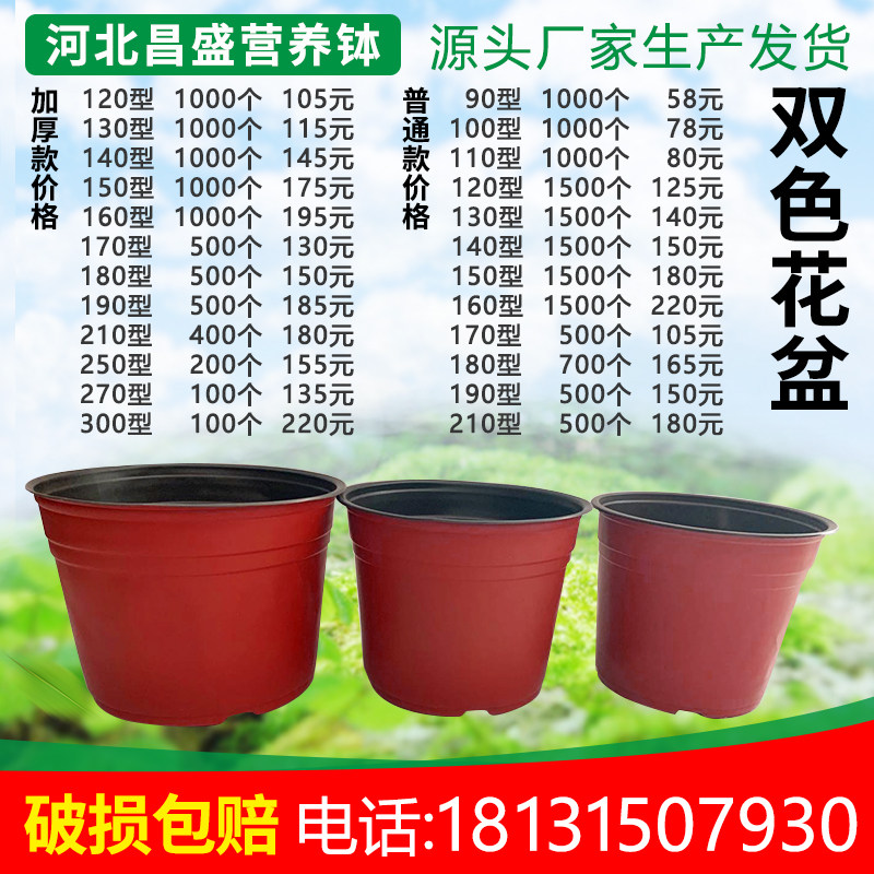 双色盆一次性育苗花盆营养钵多肉扦插种植培育盆外红内黑育苗盆