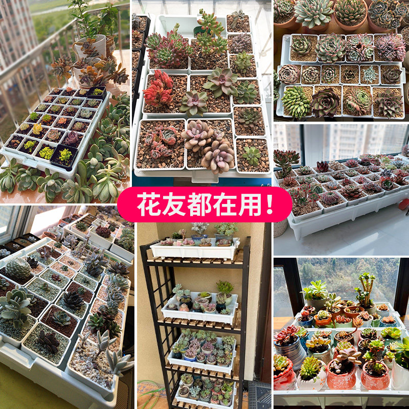 美莳多肉花盆托盘塑料加厚可排水长方形超大阳台花架收纳深接水盘
