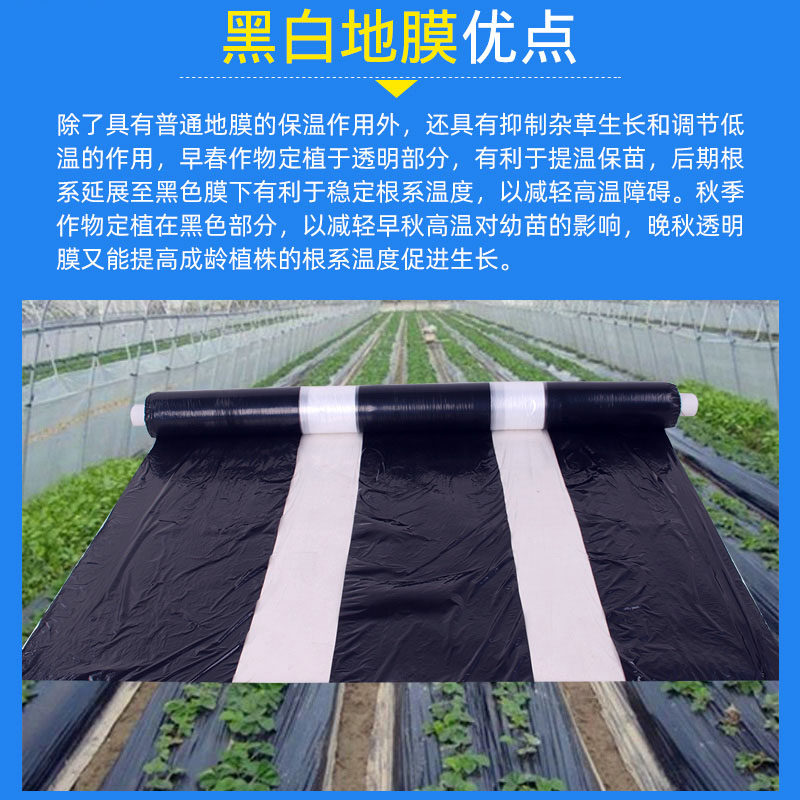 农用黑白相间地膜双白单白地膜银黑双色反光膜大棚膜塑料薄膜防渗