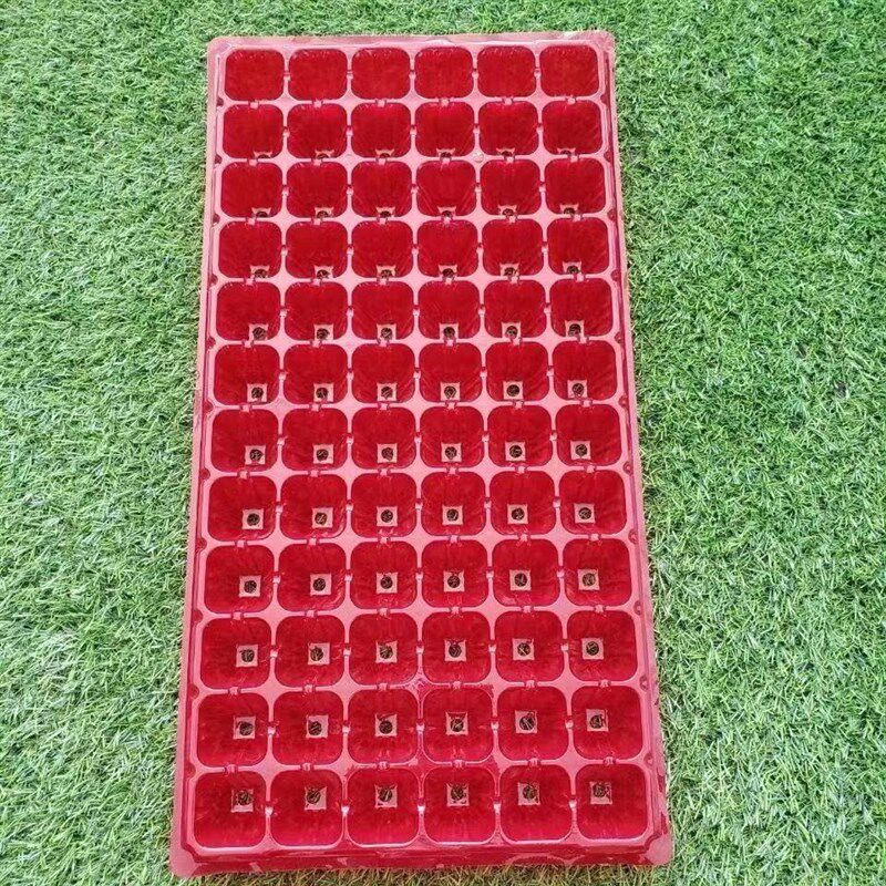 育苗穴盘国标72穴蔬菜瓜果通用型育苗穴盘 各种规格型号齐全包邮
